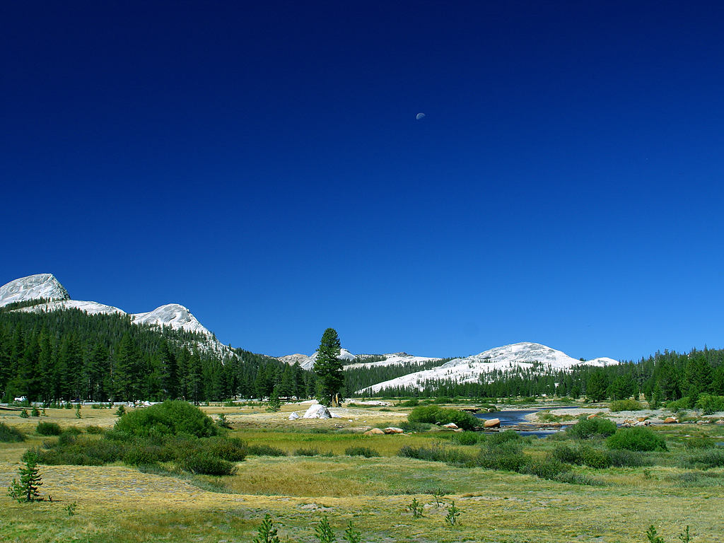 Tuolumne Meadows Yosemite