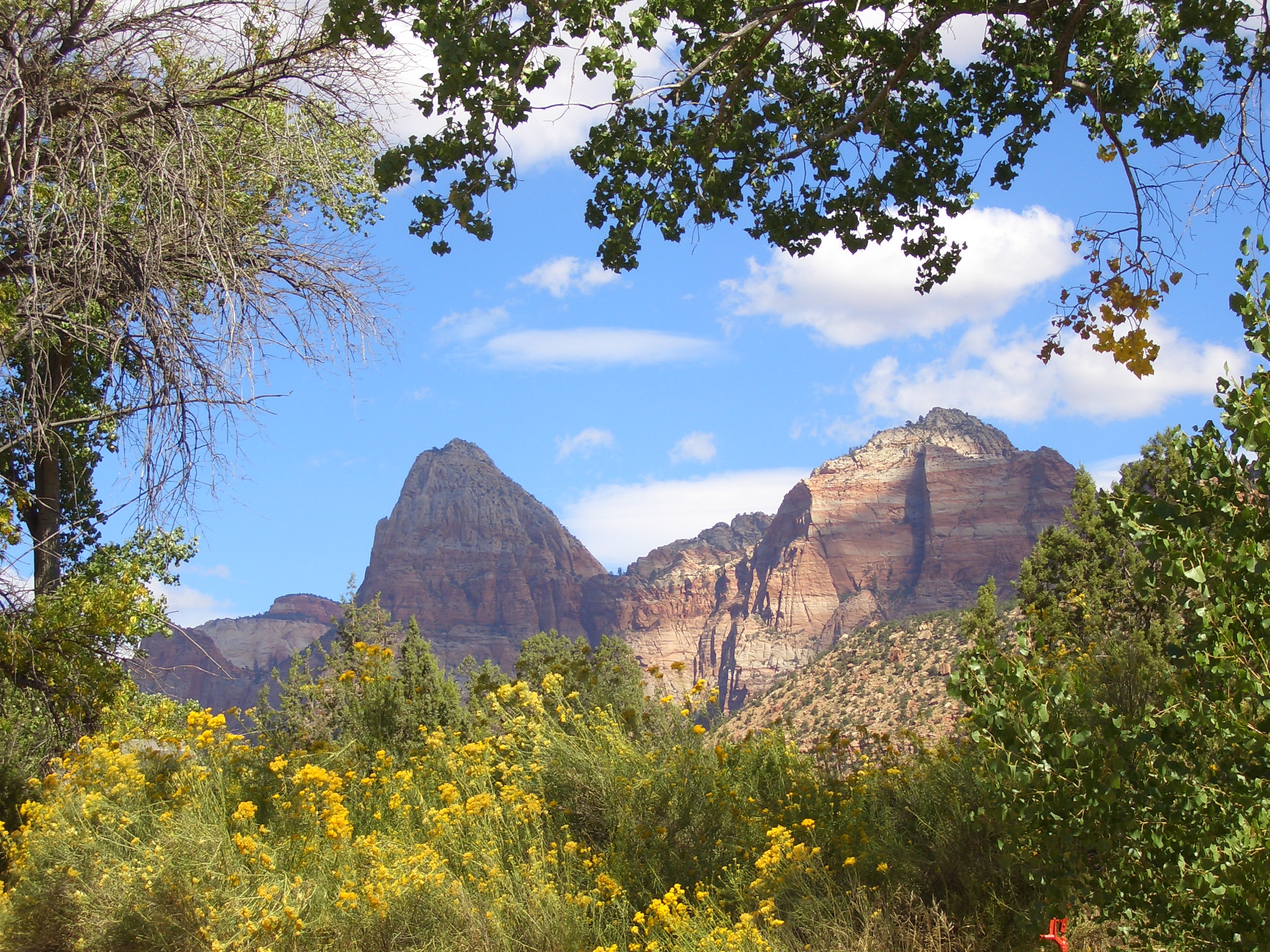 Zion Canyon Zion nasjonalpark