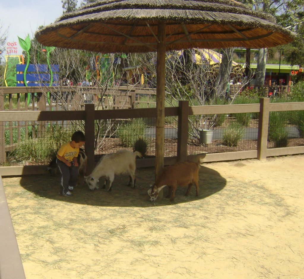 Happy Hollow Park and Zoo San Jose